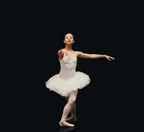 ballet gifs|ballet gif images.